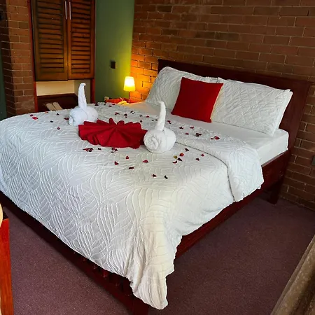 Vip Self Contained Single Room